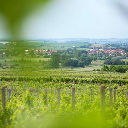 Weingut Schilling Seinsheim Exterior foto